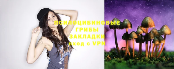 винт Арсеньев