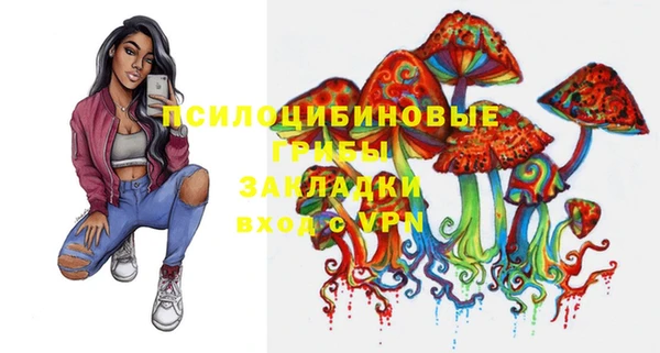 ALPHA-PVP Осинники