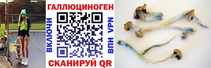 Псилоцибиновые грибы Psilocybine cubensis Новодвинск